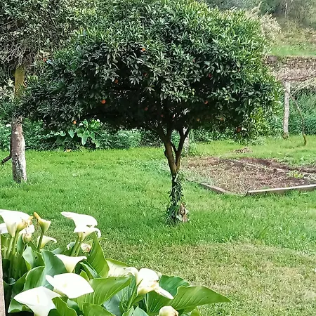 Casa Do Faval * Senande