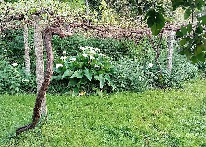 Dom wakacyjny Casa Do Faval