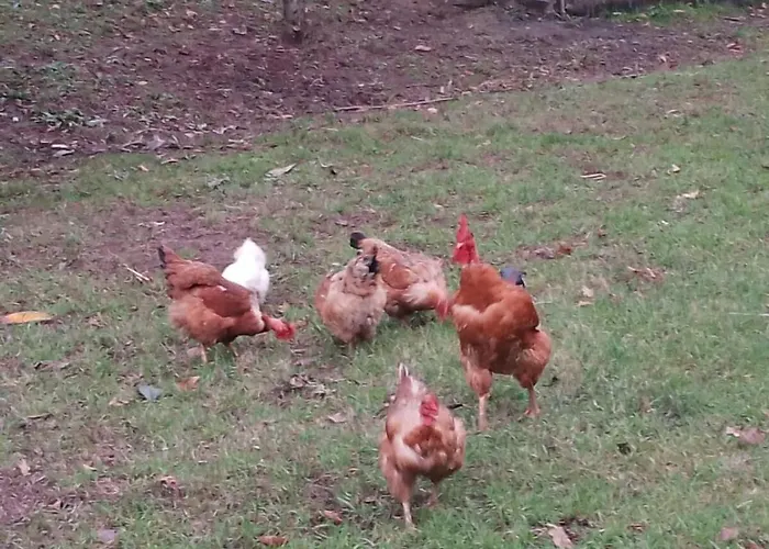 Casa Do Faval Tatil Evi *